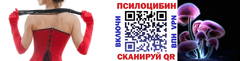 Псилоцибиновые грибы мухоморы  купить наркоту  Ковылкино 